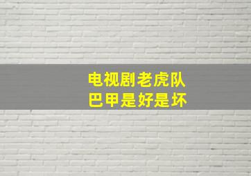 电视剧老虎队 巴甲是好是坏